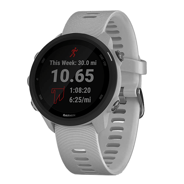Garmin Forerunner 245 Music /images/products/GM0499.png